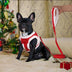 Winter Warm Fleece Dog Harness & Leash Set