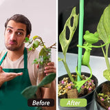 1/2/5pc Frog Shaped Plant Stand Tomato Plant Support Green Twist Garden Plant Supporter Adjustable DIY Vine Climbing Holders