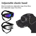 UV-Protection Dog Sunglasses