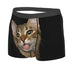 Domestic Cat Portrait Boxer Briefs