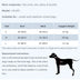 Reflective Breathable Pet Harness and Leash Set