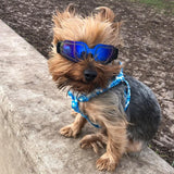 Fold Pet Dog Glasses Lovely Sunglasses Reflection Eye Wear Glasses For Small Dog Cat Pet Photos Pet Products Props Accessories