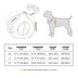 Winter Warm Fleece Dog Harness & Leash Set