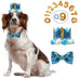 Pet Birthday Crown Hat and Bow Tie Set