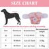 Washable Reusable Pet Diaper Pants