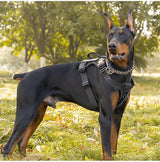 Anti-Pull Tactical Dog Harness with Night Reflective Strips Heavy-Duty Military-Grade Vest-Style Leash for Medium Large Dog