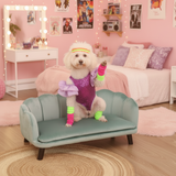 Dog in a purple outfit sitting on a teal chair in a pink-themed room.