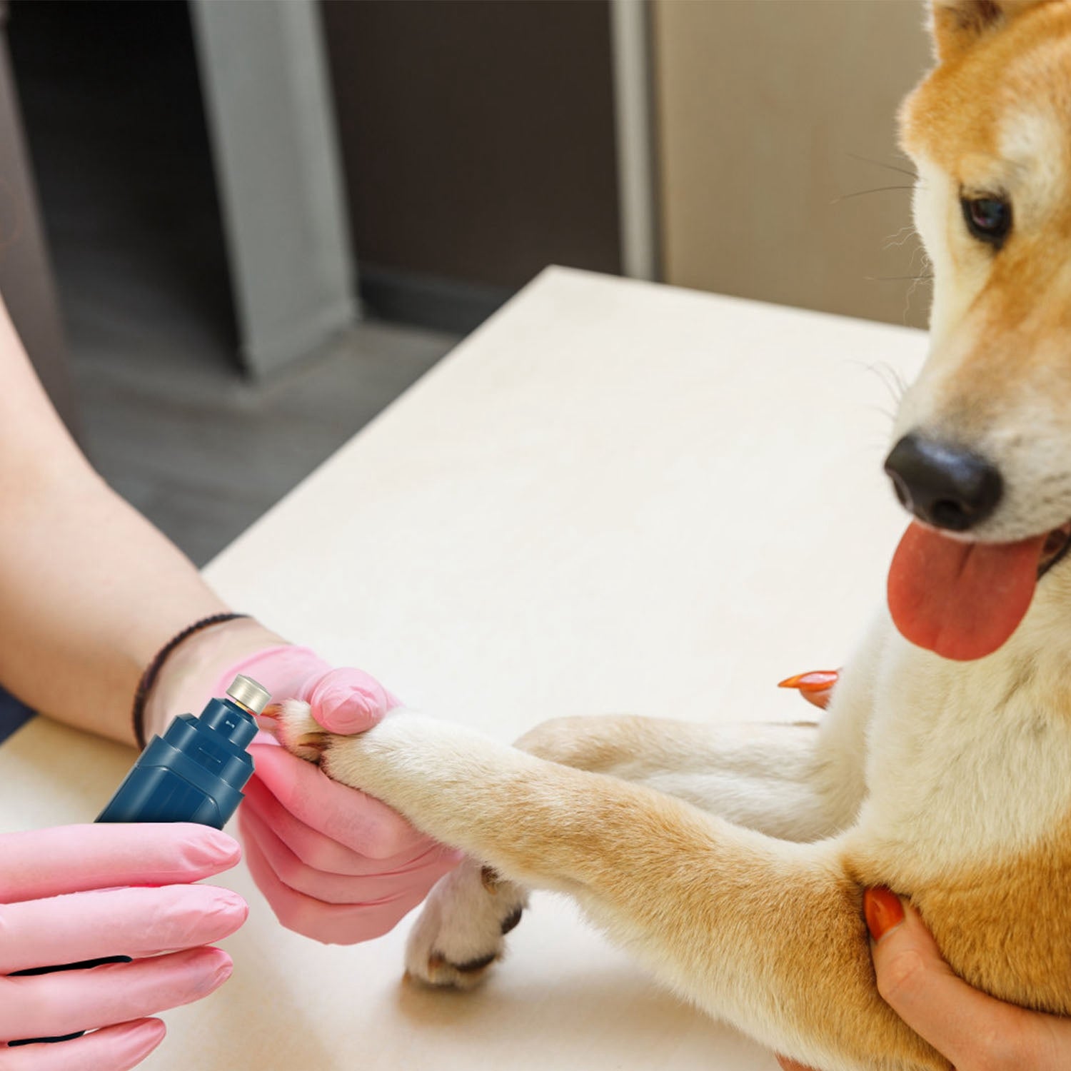 1Pc Dog Nail Grinder 2 Speeds Quiet USB Rechargeable Pet Nail Grinder Professional Pet Nail Trimmer Cordless Paws Grooming & Smoothing Claw Care For Small Medium Large Dogs & Cats