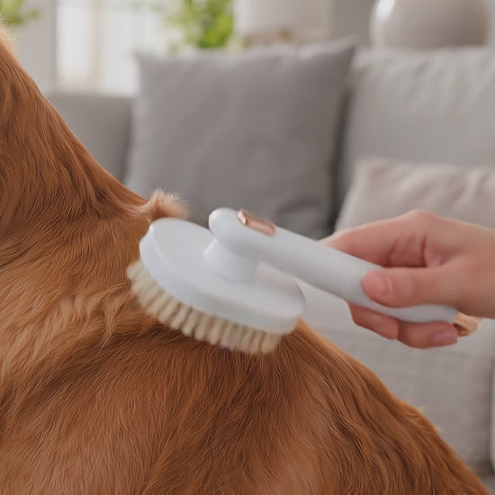 Grooming glove during a cuddle session — turning a pet a few times to collect loose hair.