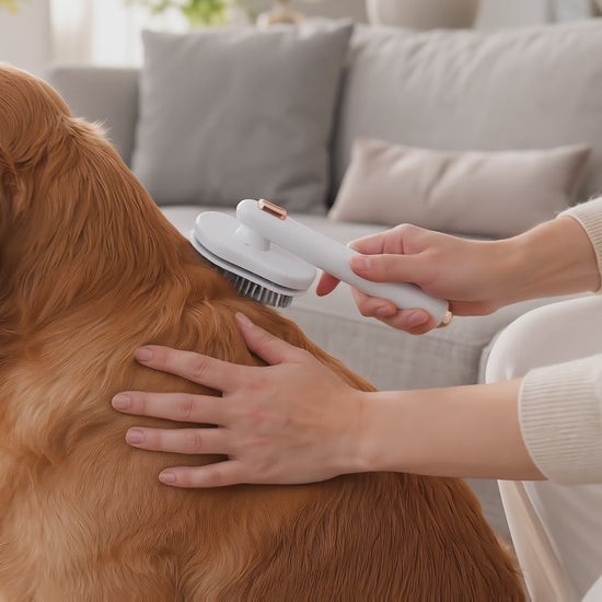 Grooming comb pulling through pet fur — a real comb pass on a real coat.